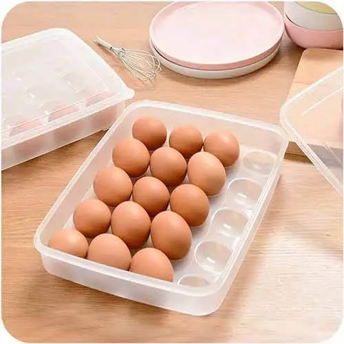 20 Grid Egg Box Egg Organizer Holder Case